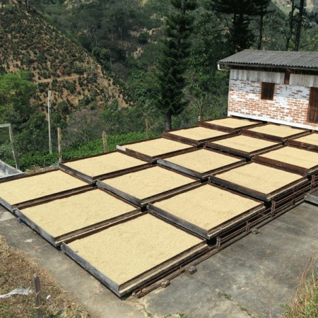 Colomiba, Antioquia, Finca Las Mercedes
