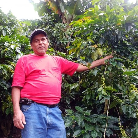 Guatemala, La Huehuetenango, Finca el Regalito