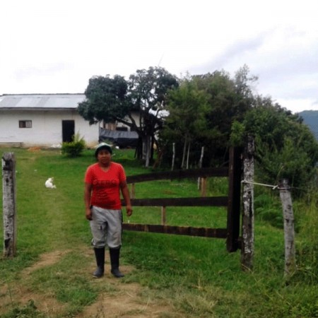 Colombia, Inzá, Cauca, Villa Hermosa, sommerkaffe