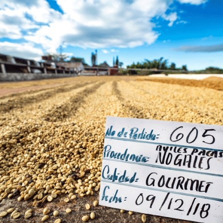 El Salvador, Finca Nogales