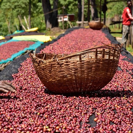 Etiopia, Sidamo, Bombe