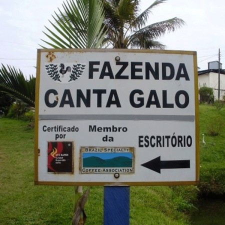 Brasil, Fazenda Canta Galo