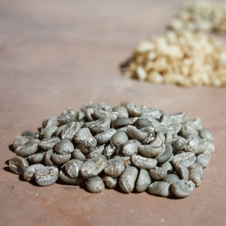 Zambia, Kachipapa Farm